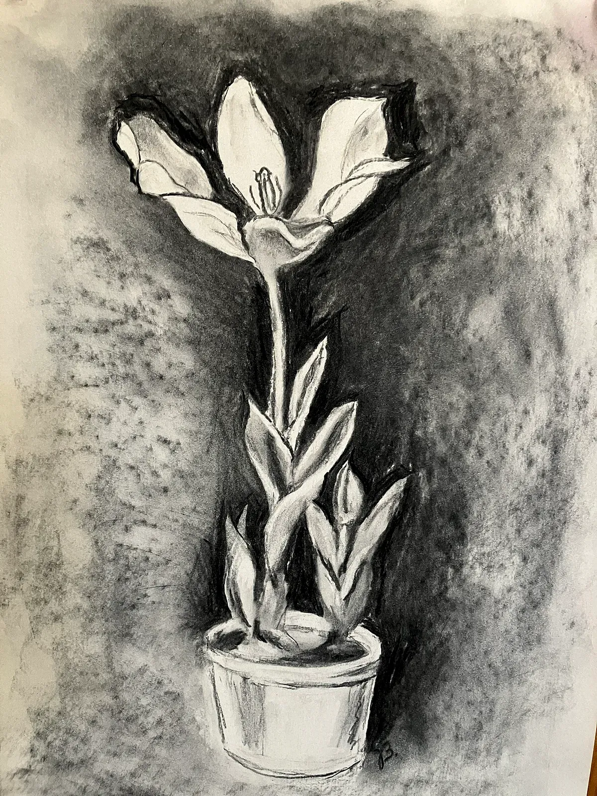 Tulpe — Gemälde von Jutta
